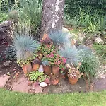 Bed & Breakfast - Stakdelen 47 Allerup