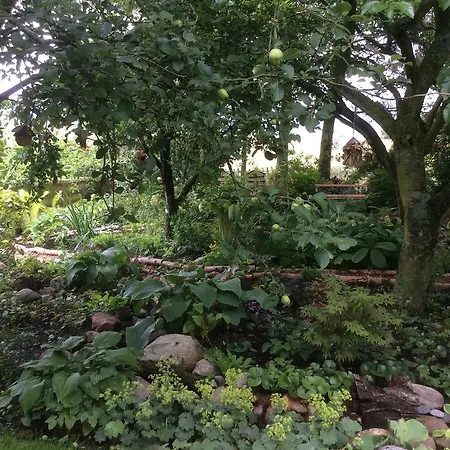 - Stakdelen 47 Bed & Breakfast Allerup